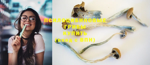прущая мука Алзамай