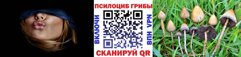 Псилоцибиновые грибы мицелий  цена   Раменское 