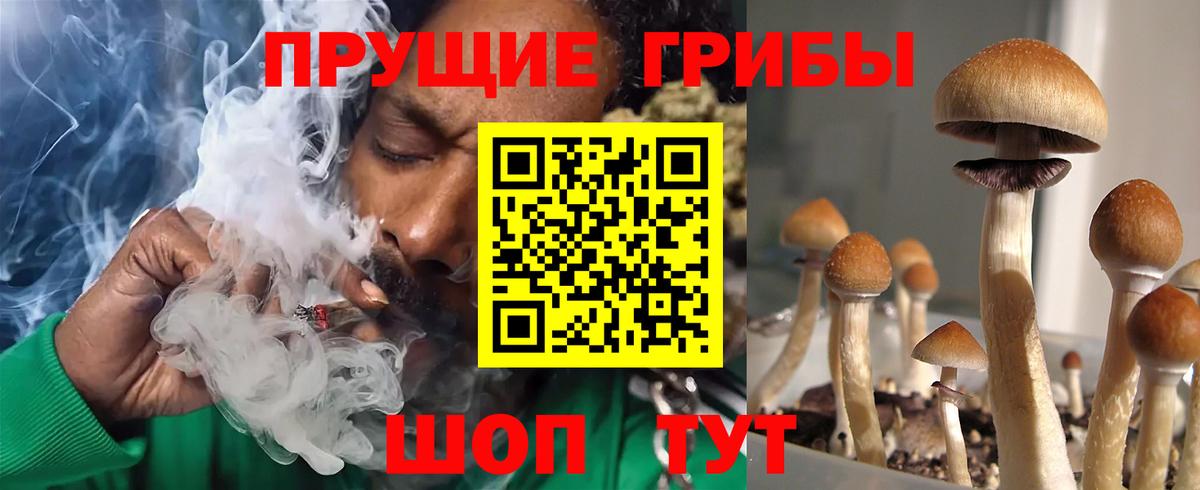 Галлюциногенные грибы мухоморы Раменское